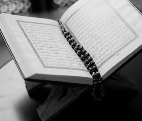 Что мы предлагаем